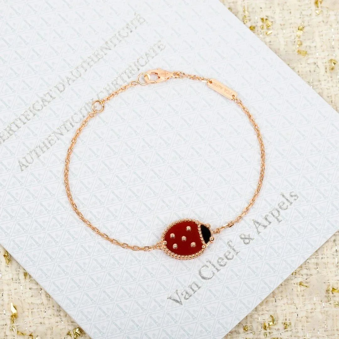 26 26