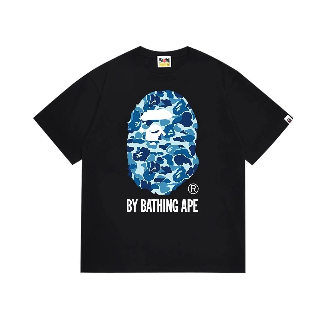 31 31